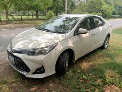 Toyota Corolla XLI 2019