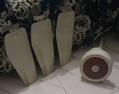 royal ceeling fan