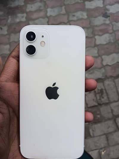 iPhone 12