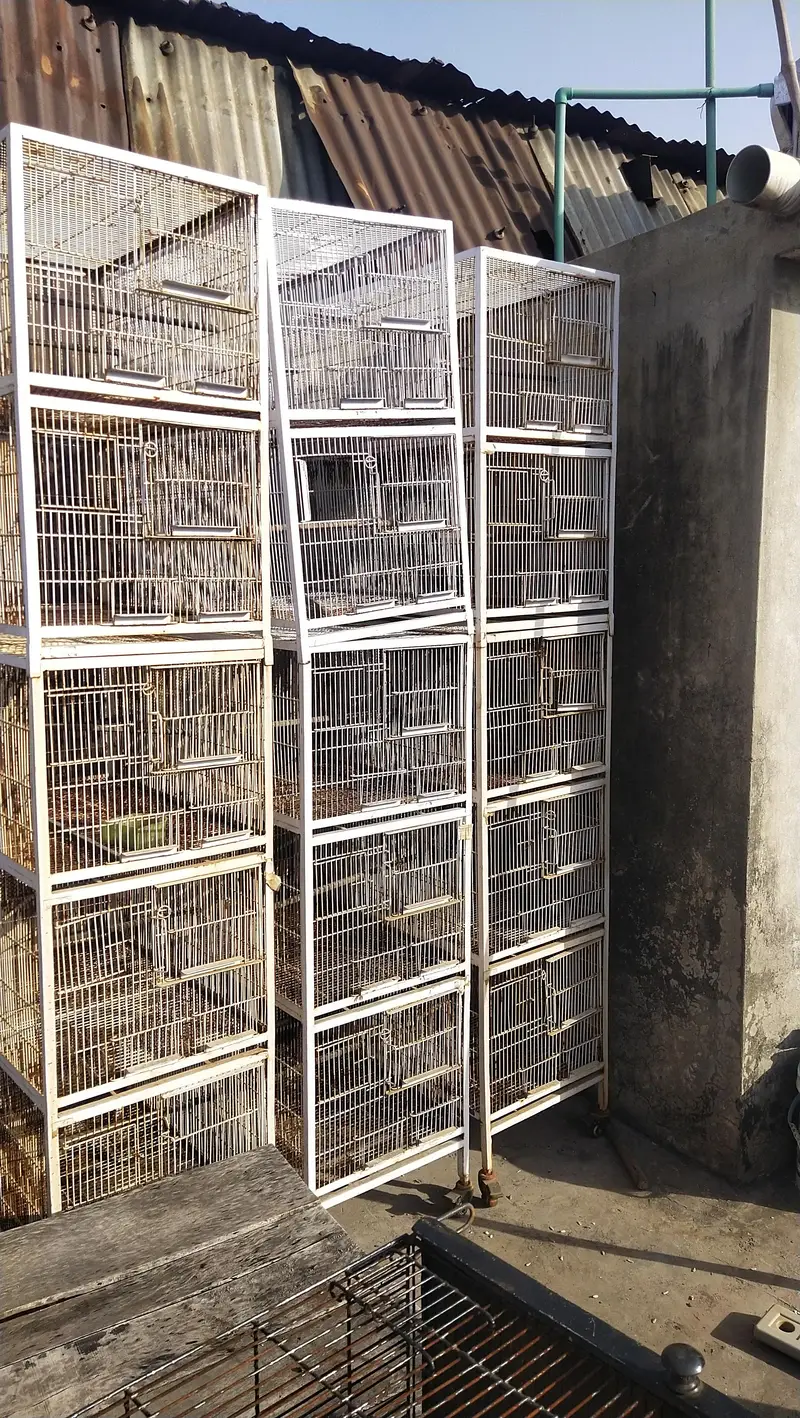 cage for sale — photo 2