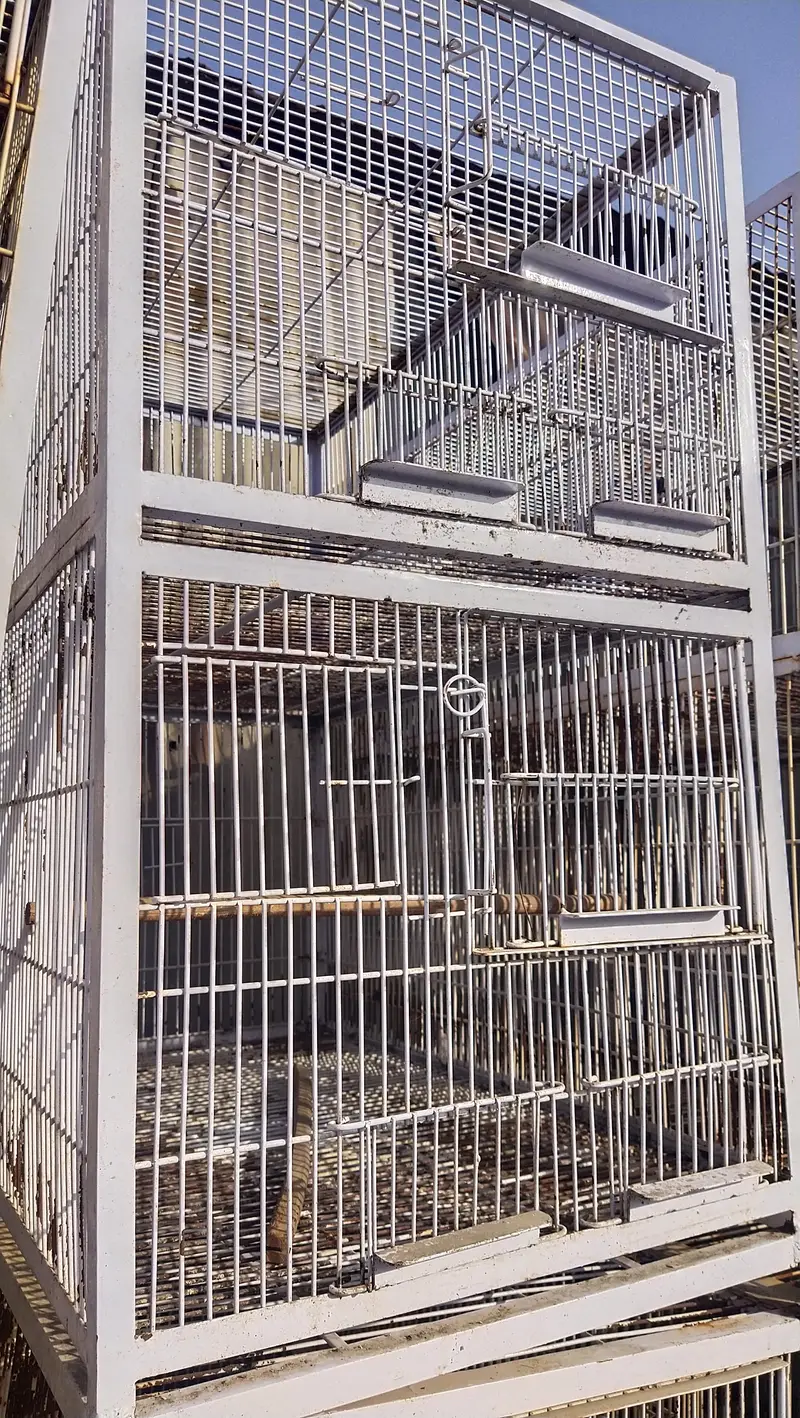cage for sale — photo 3