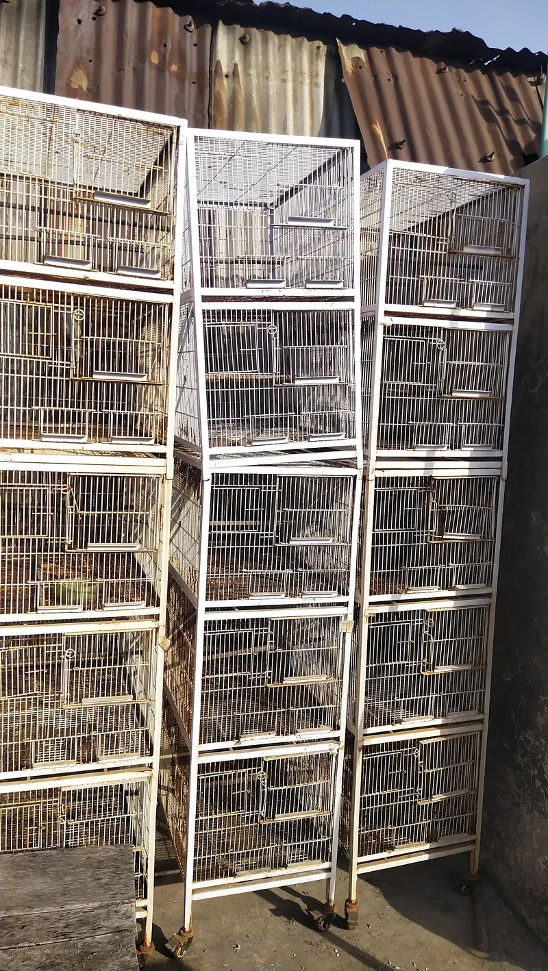 cage for sale — photo 4