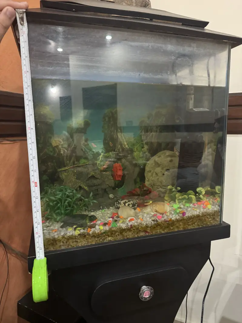 Complete Aquarium Setup with Filter, Heater, and Decorations — photo 2
