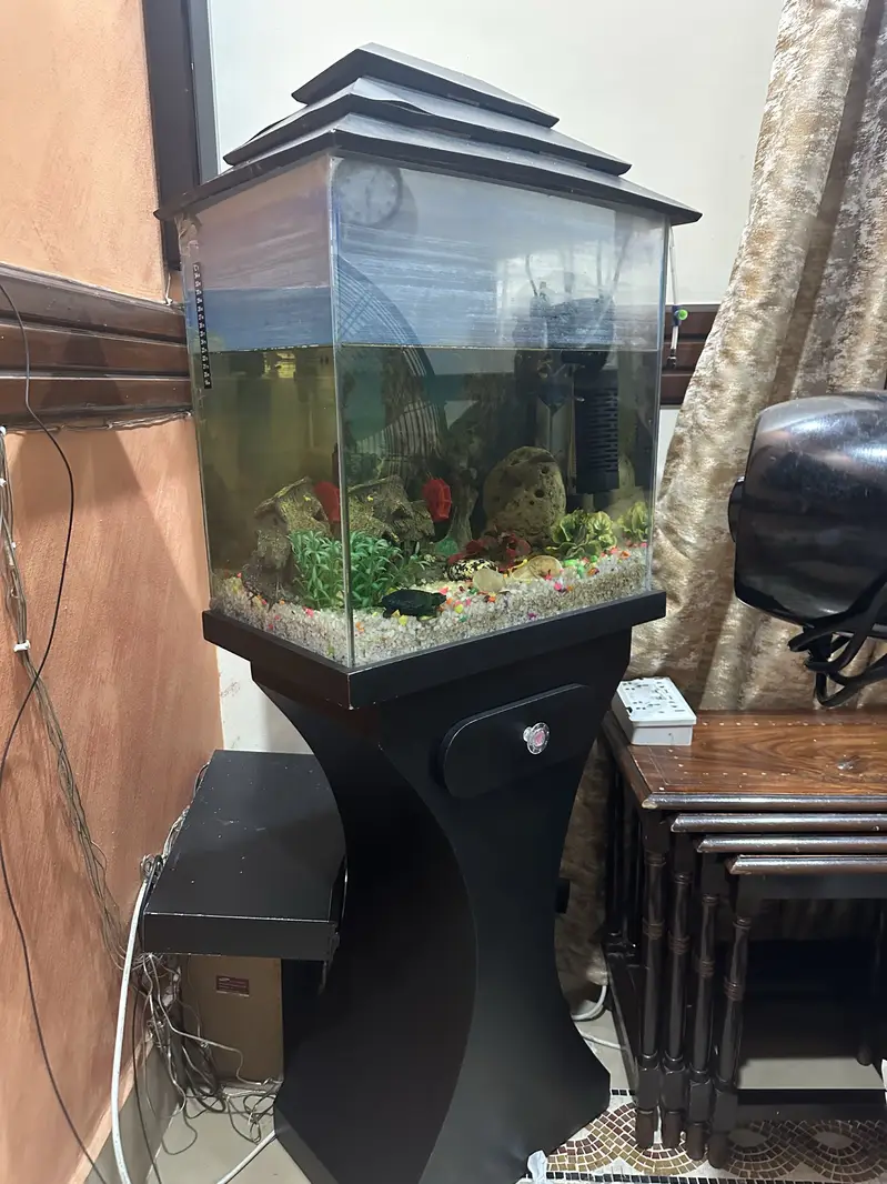 Complete Aquarium Setup with Filter, Heater, and Decorations — photo 4