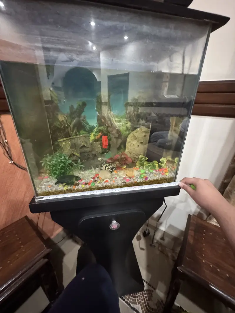 Complete Aquarium Setup with Filter, Heater, and Decorations — photo 5