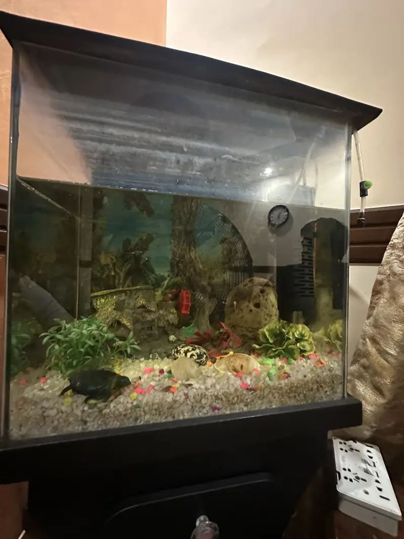 Complete Aquarium Setup with Filter, Heater, and Decorations — photo 6