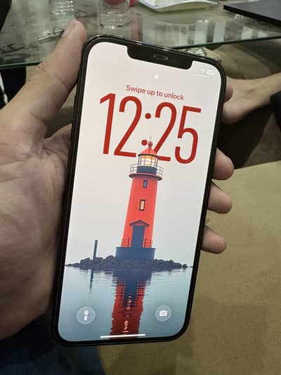Apple iPhone 12 Pro Max
