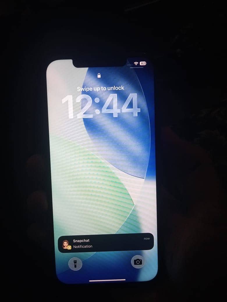 Apple iPhone 12 Pro Max 1