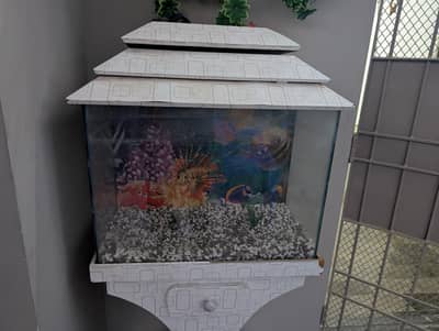 Fish Aquarium
