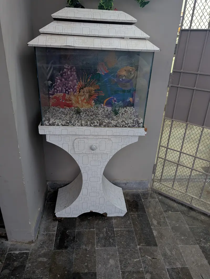Fish Aquarium — photo 3