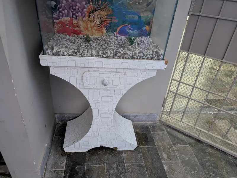Fish Aquarium — photo 4