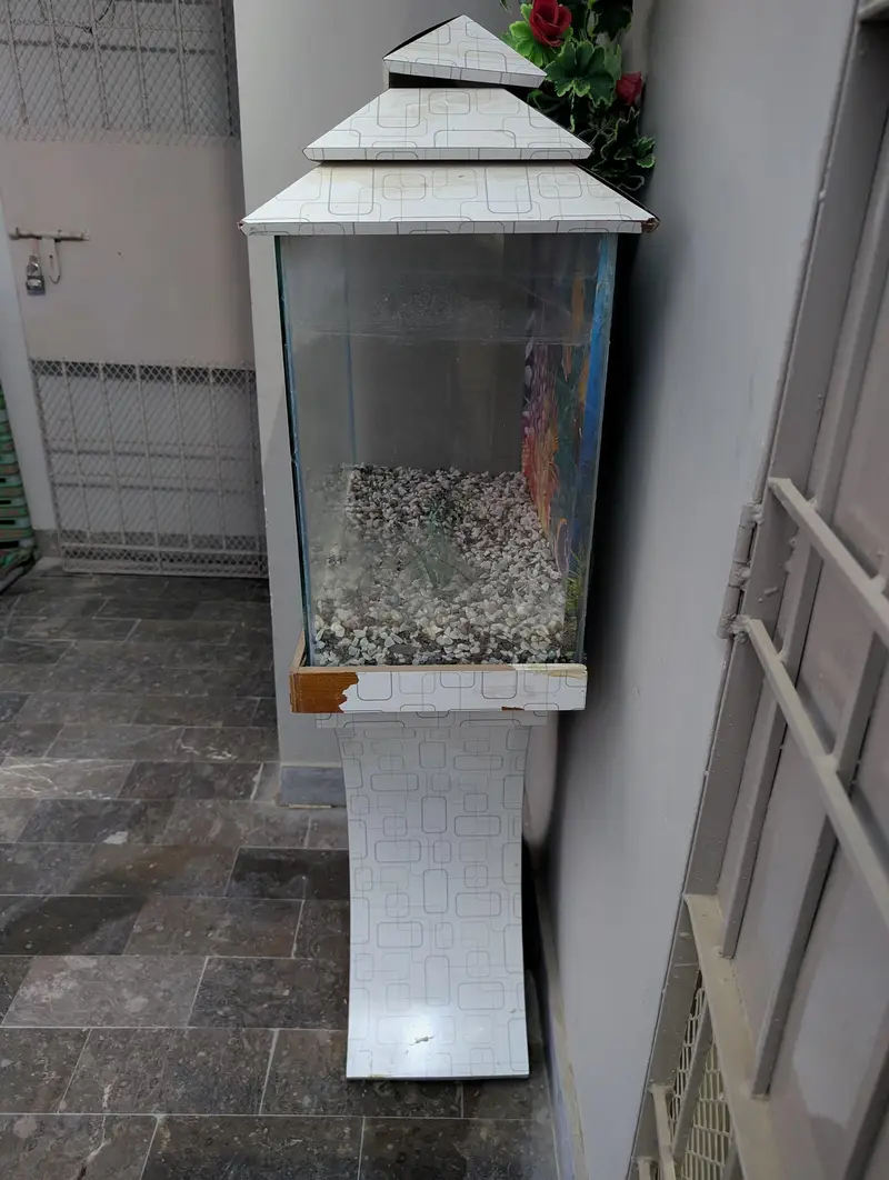 Fish Aquarium — photo 5