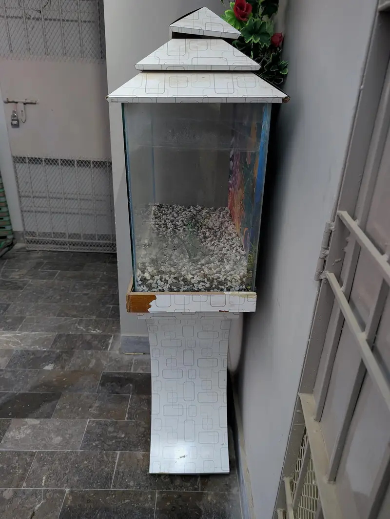 Fish Aquarium — photo 6