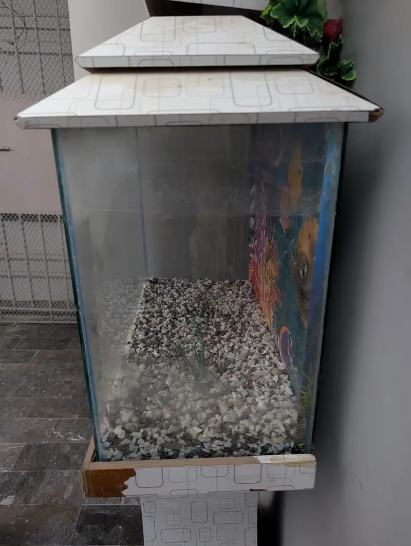 Fish Aquarium — photo 8