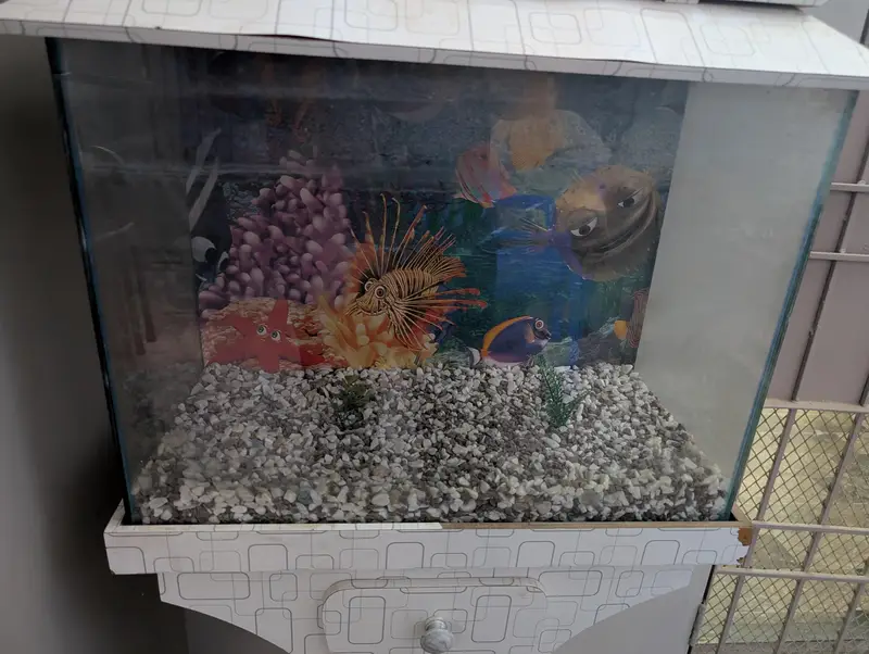 Fish Aquarium — photo 9
