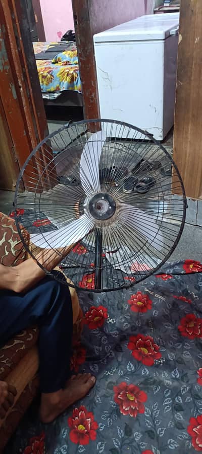 fans.