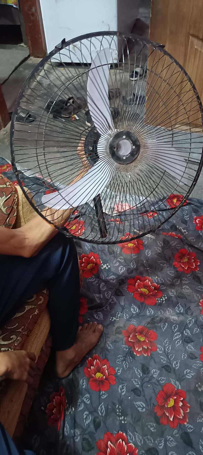 fans. 2