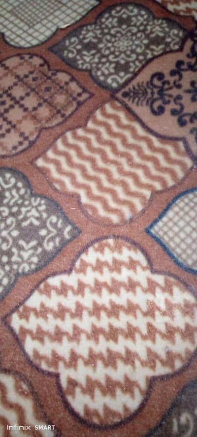 carpet only 6 month used