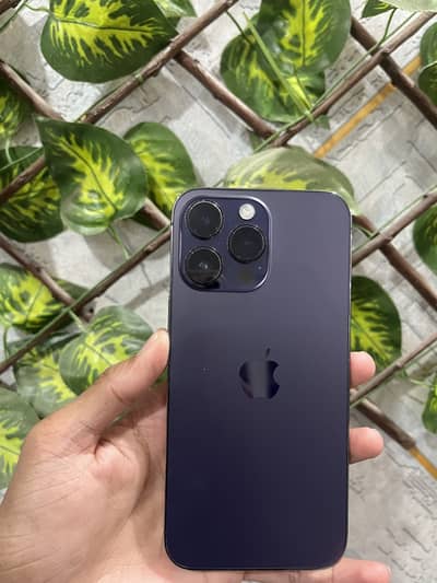 Apple iPhone 14 Pro Max PTA Approve