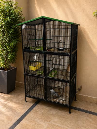 birds cages