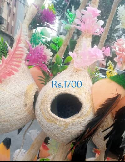 birds  Nest  home گھونسلا