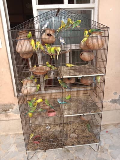 urgent sale