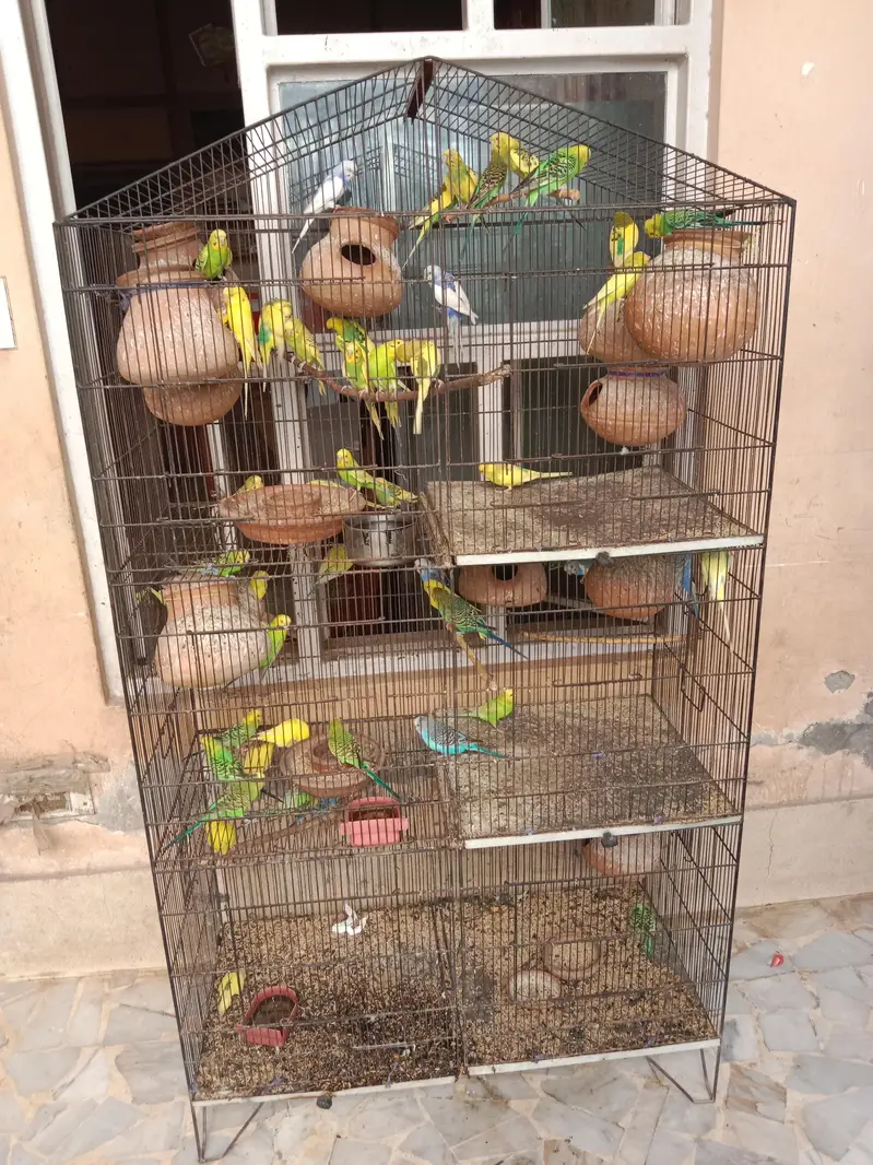 urgent sale