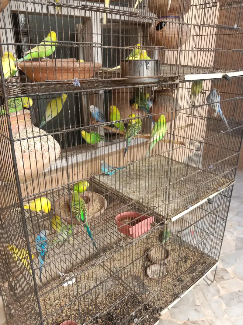 urgent sale — photo 3