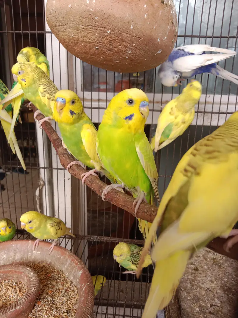 urgent sale — photo 4