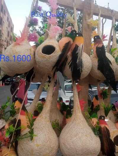 Birds Nest home  گھونسلا