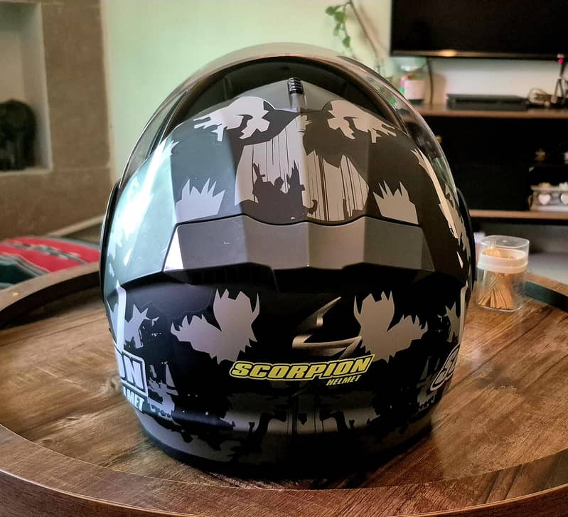 helmet 2