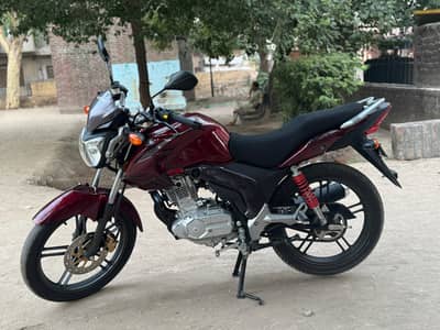Suzuki GSX 125 2026 | 900 KM Driven | 10/10 Condition | Complete