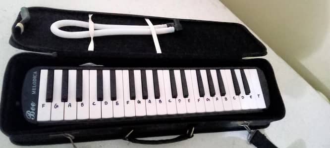 Professional Melodica for sale in brand new condition