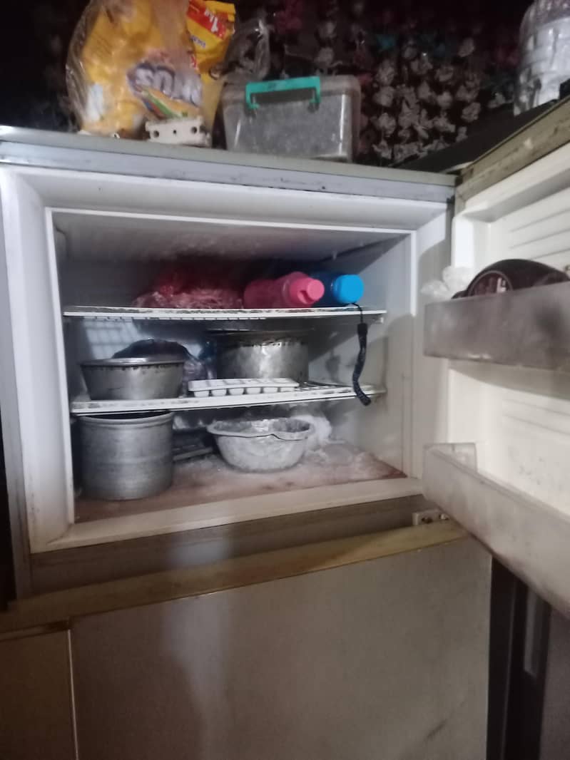 fridge 2