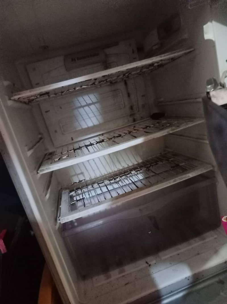 fridge 3