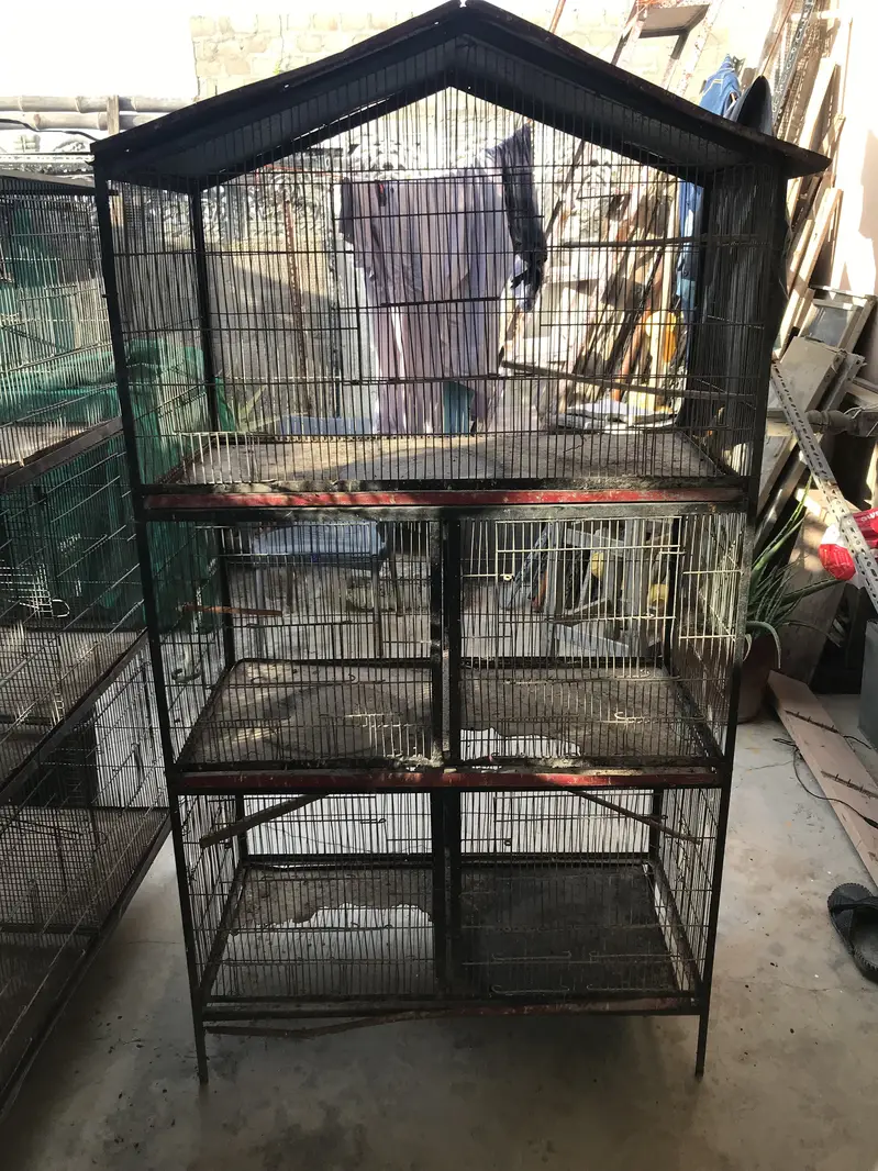 Birds cages in reasonable prices