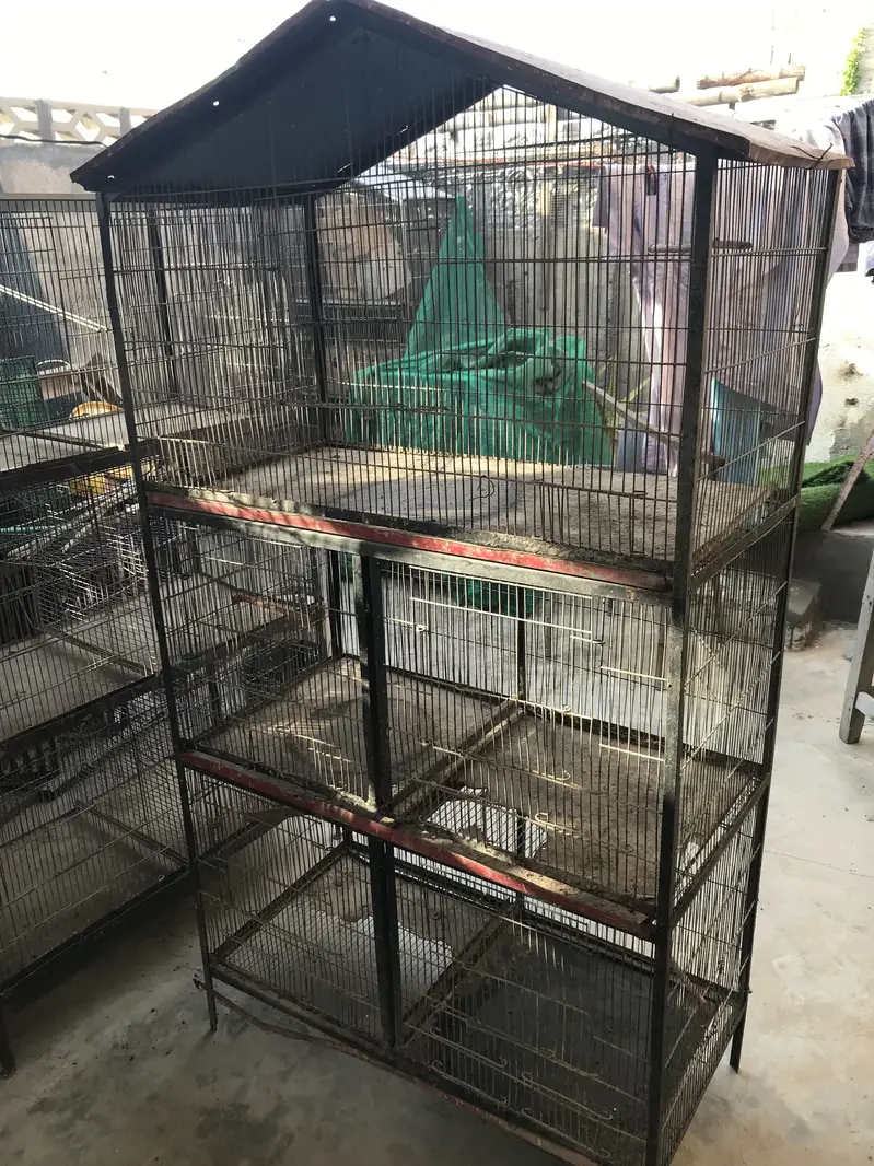 Birds cages in reasonable prices — photo 2