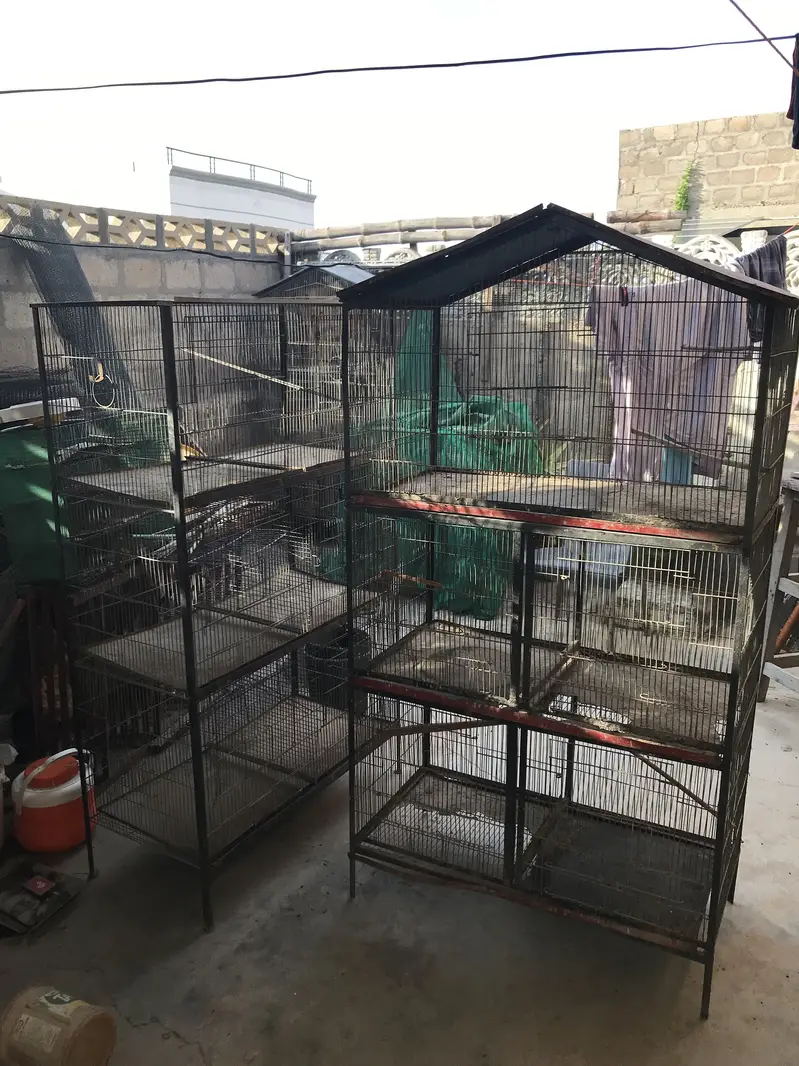 Birds cages in reasonable prices — photo 3