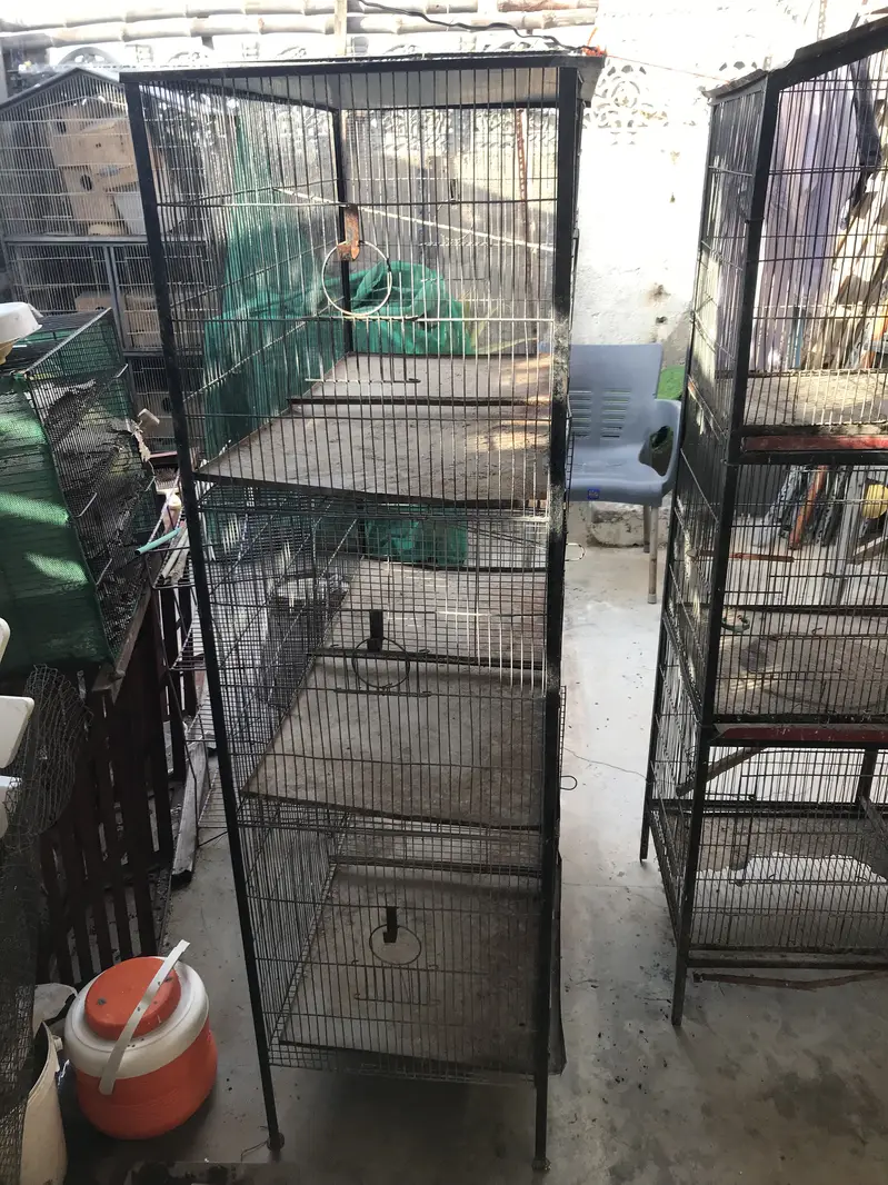 Birds cages in reasonable prices — photo 4