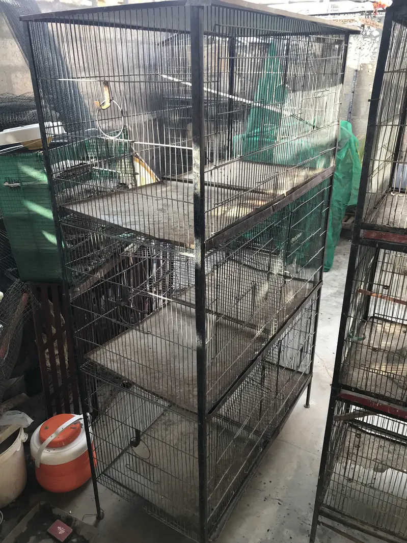 Birds cages in reasonable prices — photo 5