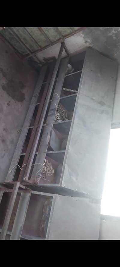 egg nests