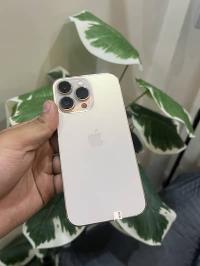 iphone 13 Pro PTA Approved
