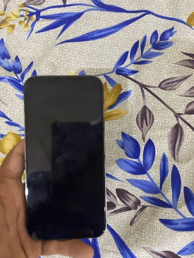Iphone 12 promax