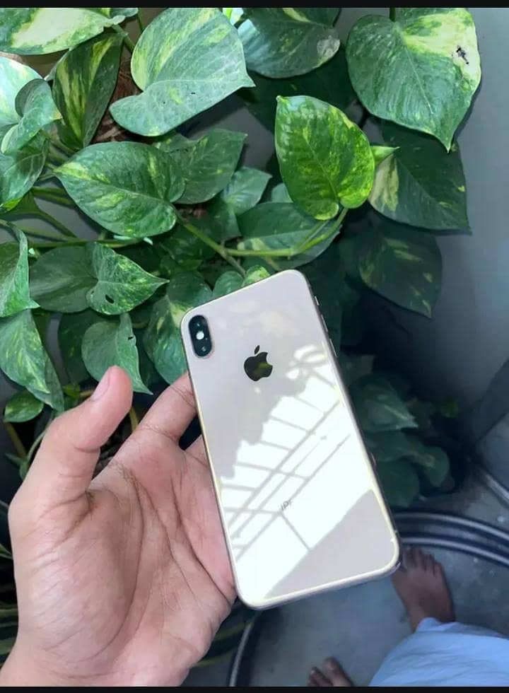 Apple iPhone X 0