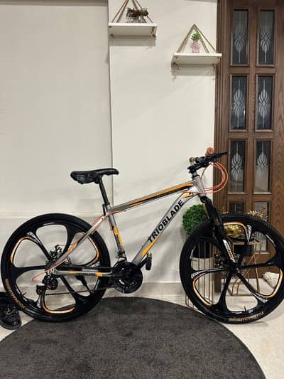 Cycle 0333-3999079 1 month used