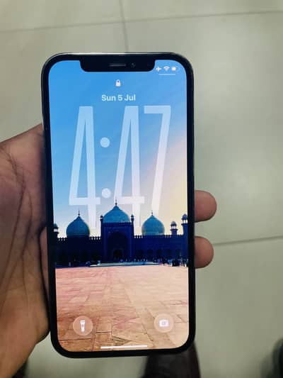 Apple iPhone 12 pro