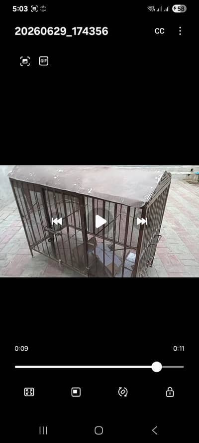 Hen Cages or Perrott Cages
