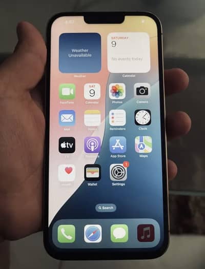 iPhone 13 Pro Max
