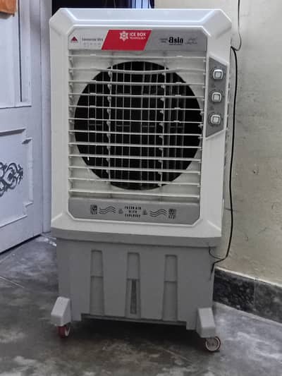 Air cooler one (year old)