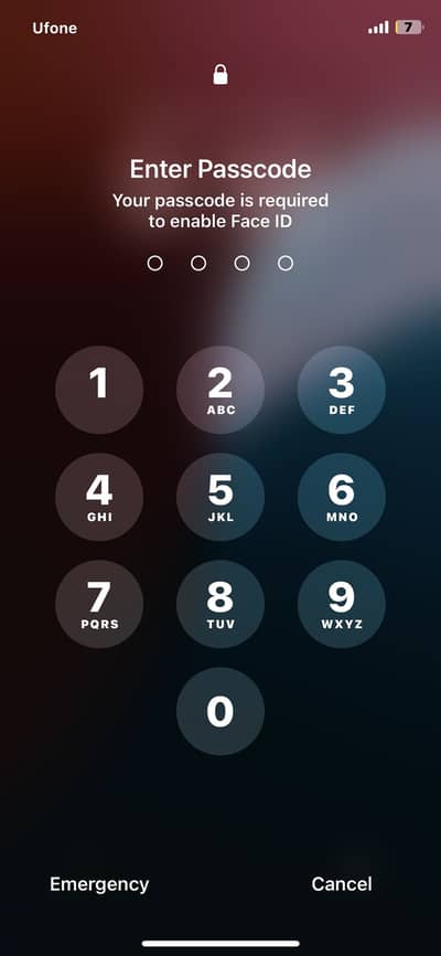 Apple iPhone XS